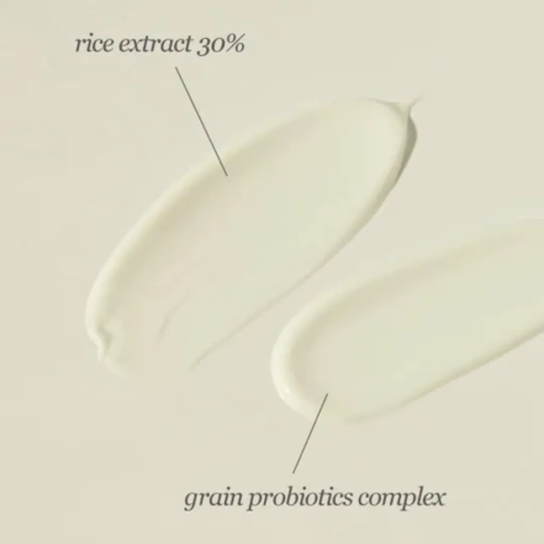 Beauty Of Joseon Relief Sun Rice + Probiotics SPF 50+ Pa++++ - 10ml Ingredients